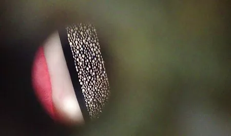 מאונן כוס עם ירקות גדולים סרטי סקס חינם מלאים