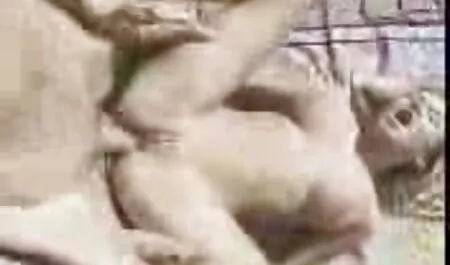 אחות סרטים חינם אמא ובן חורגת עם גוף יפה נכנעה אח