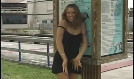 שתי סרטי מין חינם בחורות צעירות וחתיכות כל כך נראות תפוסות.