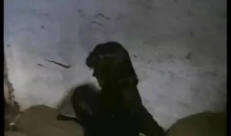 שתי בלונדיניות מפתות את קוקסינליות סרטים חינם הכוס הצעיר